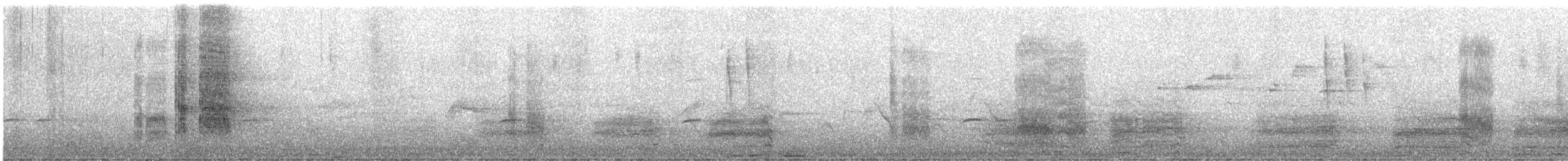 Apostlebird - ML646040444