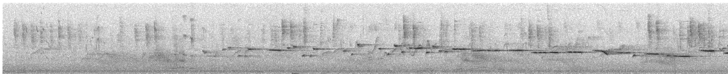 Western Gerygone - ML646040648