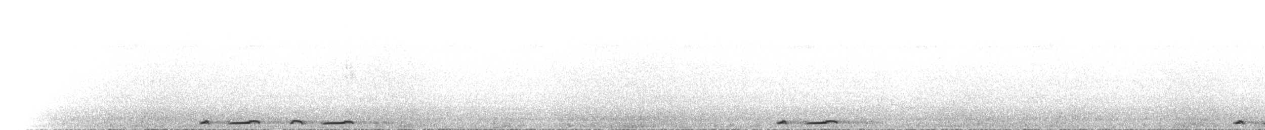 Bar-shouldered Dove - ML646040731