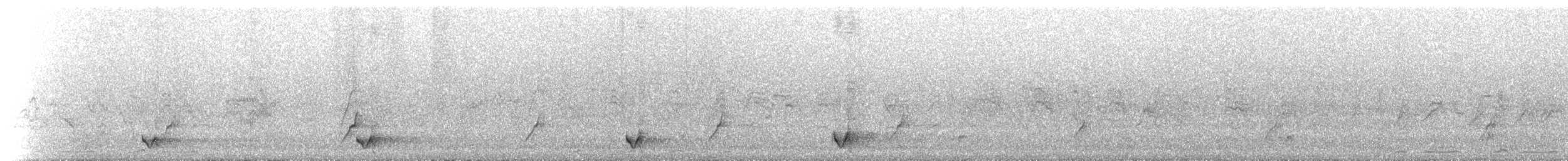 Little Friarbird - ML646040815