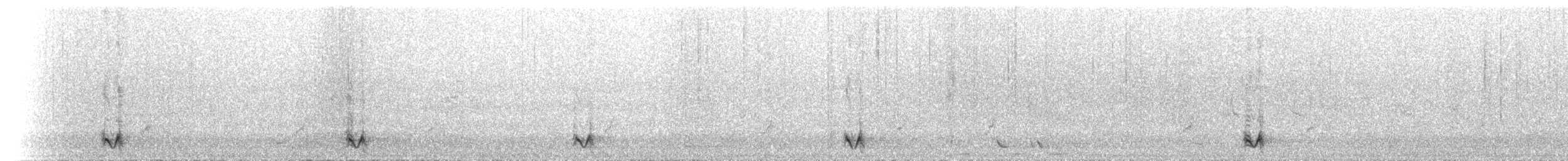 Little Friarbird - ML646040816