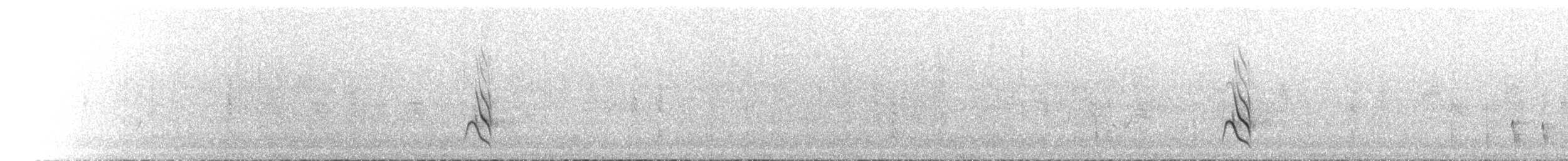 Australasian Figbird - ML646040834