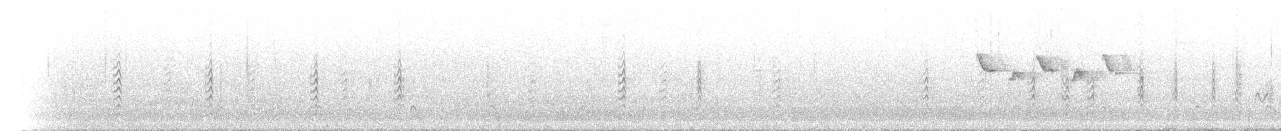 Double-barred Finch - ML646040837