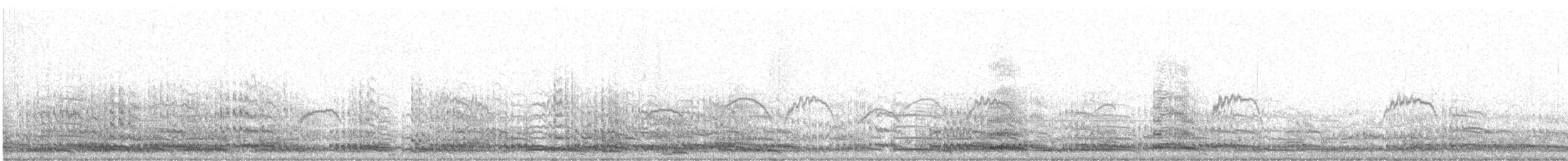 Kurriloa sp. - ML646041218