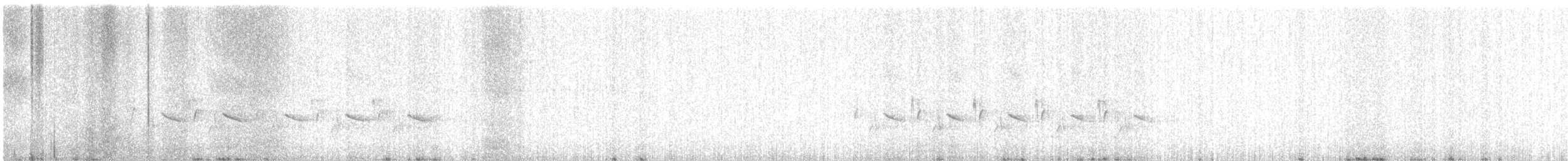 Carolina Wren - ML646041348