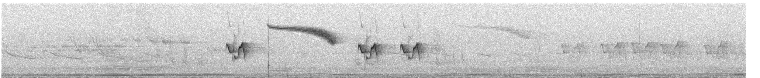 Hume txioa - ML646041667