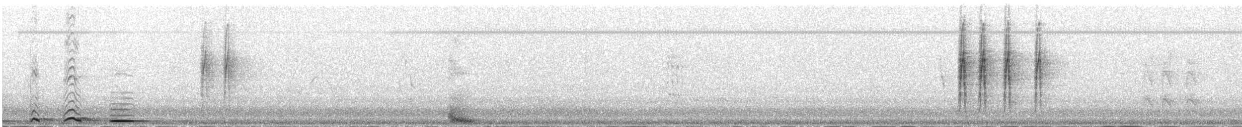 Kuku eurasiarra - ML646041668