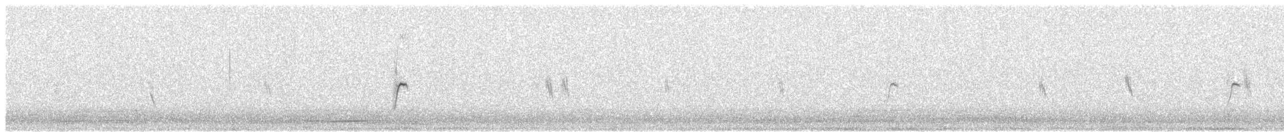 Huş İsketesi - ML646042014