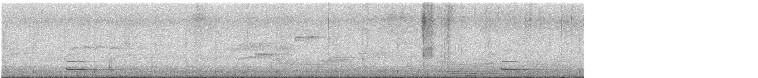 owl sp. - ML646042279