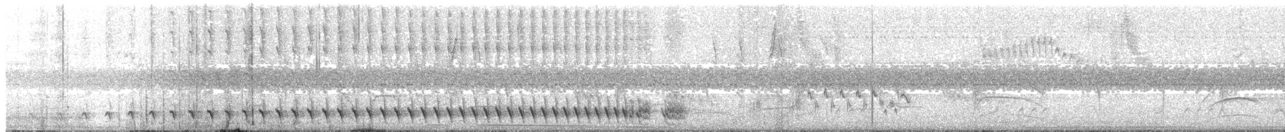 Great Antshrike - ML646043012