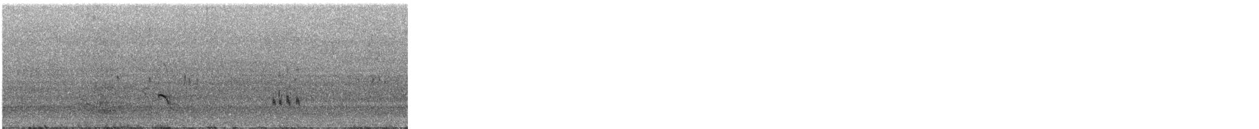 Taşçeviren - ML646043036