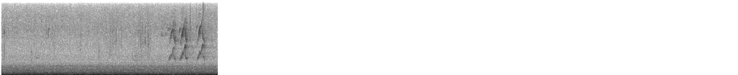 קיכלי נודד - ML646043113