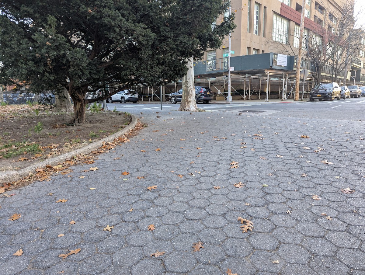 Плачущая горлица - ML646043353