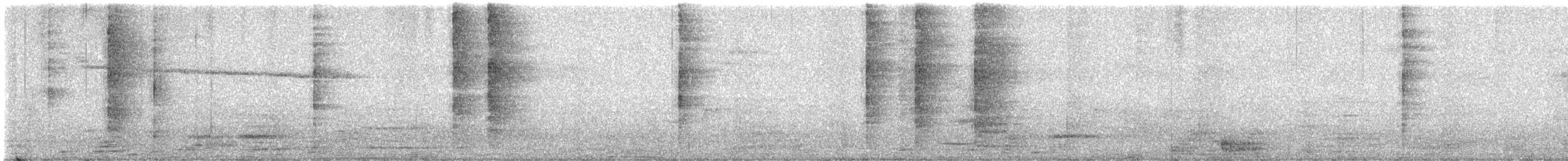 White-rumped Shama - ML646043685