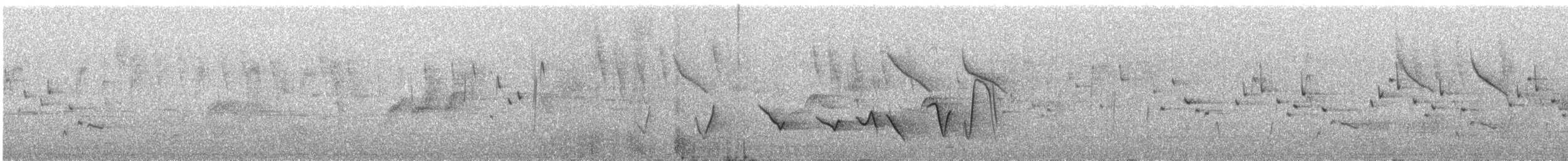 Rufous Whistler - ML646043736