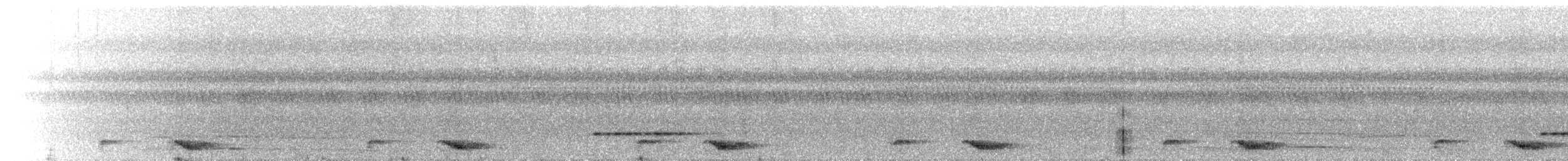 sovka bělohrdlá - ML646043768