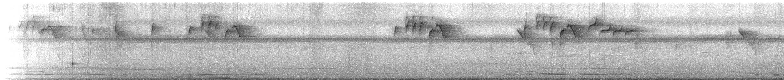 Everett's White-eye - ML646043780