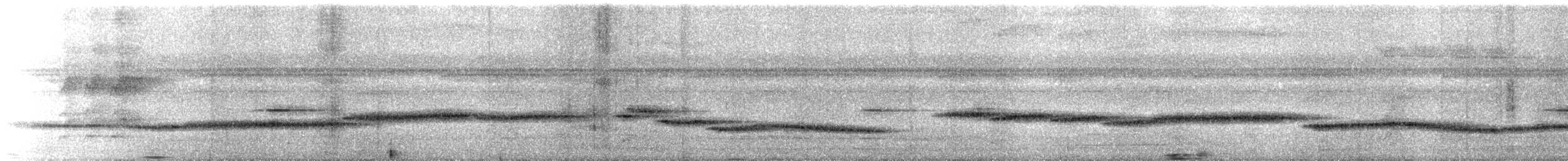 Black Shama - ML646043840