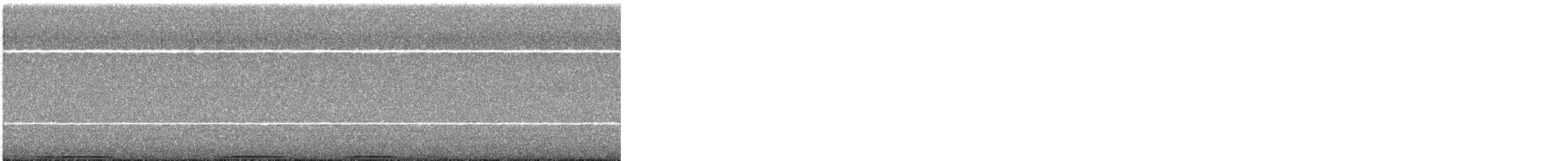 výr virginský - ML646044131