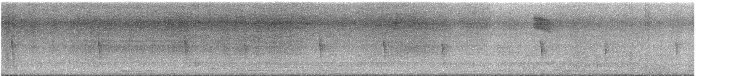 Kentucky Warbler - ML646044148