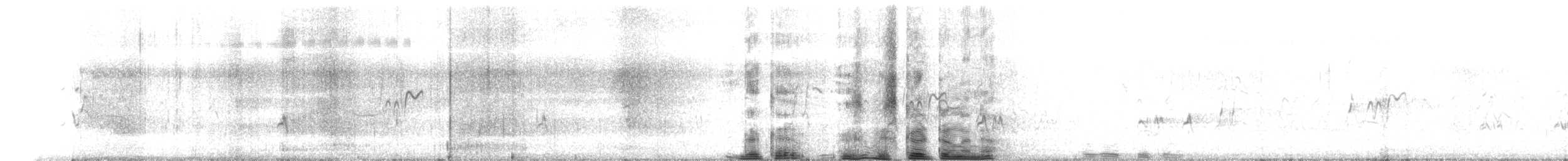 Lesser Whistling-Duck - ML646044585