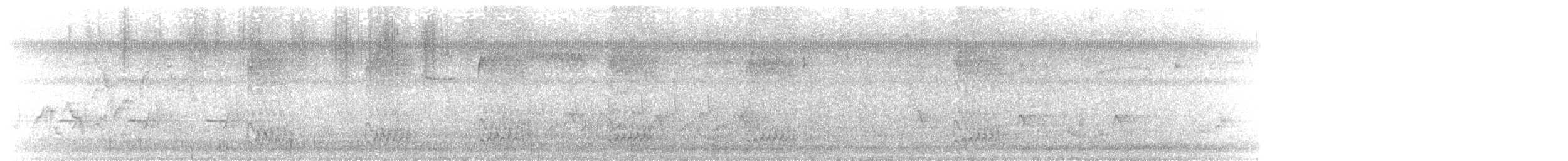 Red-bellied Woodpecker - ML646044673