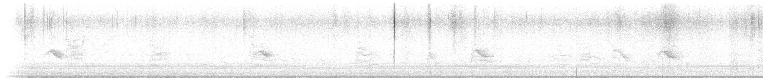 Gray-cheeked Thrush - ML646044786