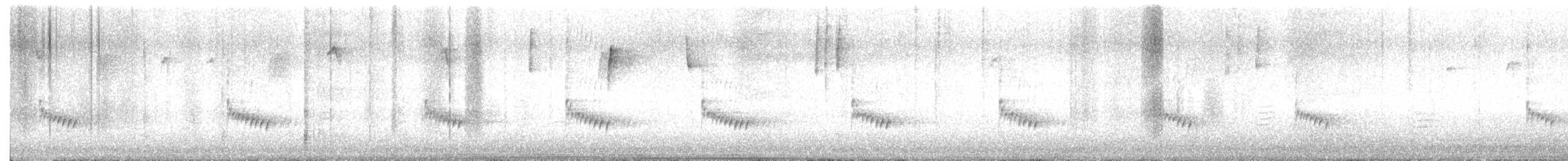 Carolina Wren - ML646044906