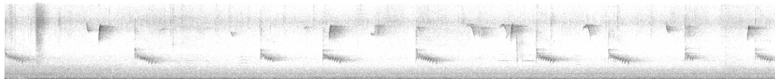 Carolina Wren - ML646044925