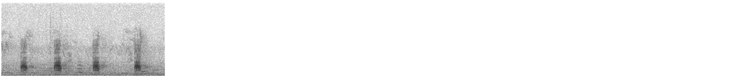 Egyptian Goose - ML646045198