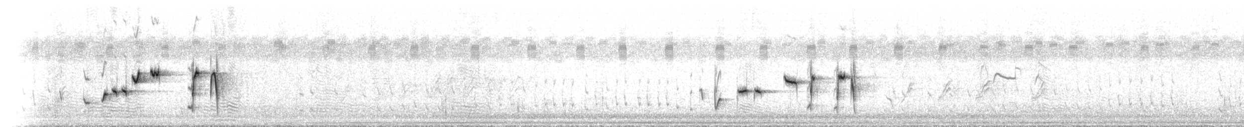 Willie-wagtail - ML646045253