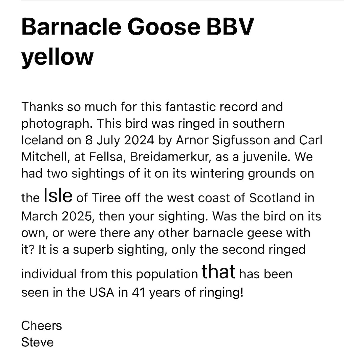 Barnacle Goose - ML646045308