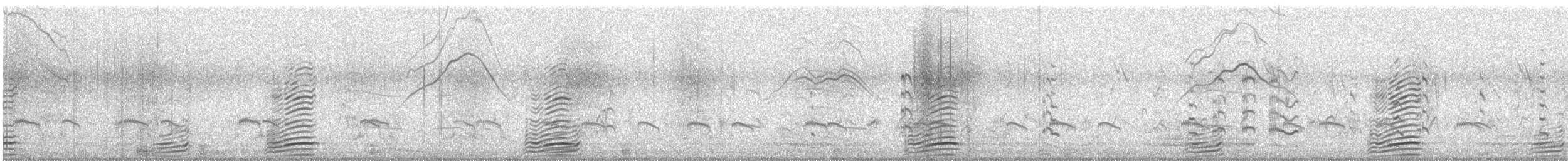 Rostgans - ML646046433