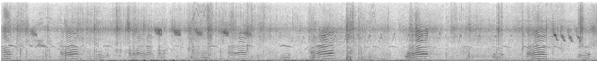 Rostgans - ML646046435