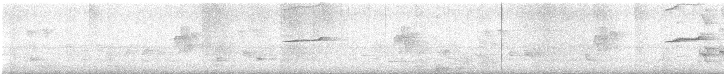 Halsbandsittich - ML646046456