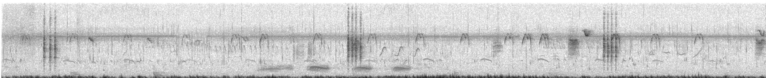 Stentorrohrsänger - ML646046492
