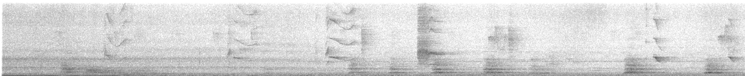 Wacholderlaubsänger - ML646046683