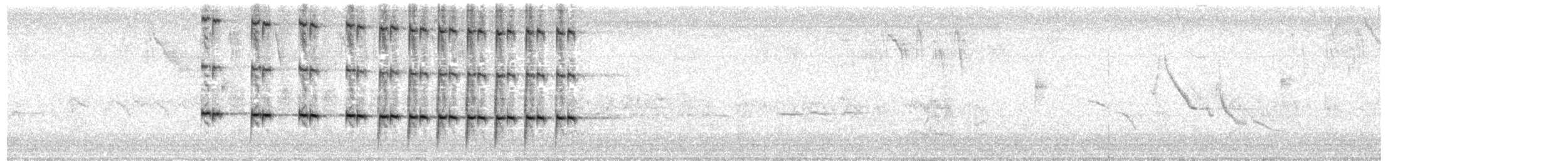 Großschwanzgrackel - ML646046809