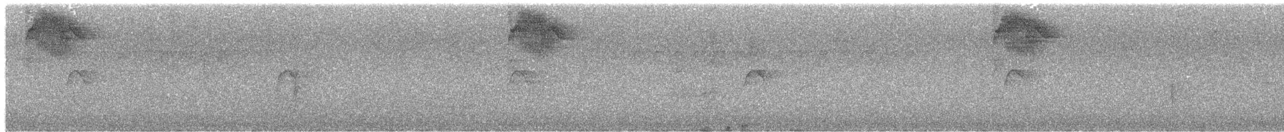 Burmeisterkleintyrann - ML646046855