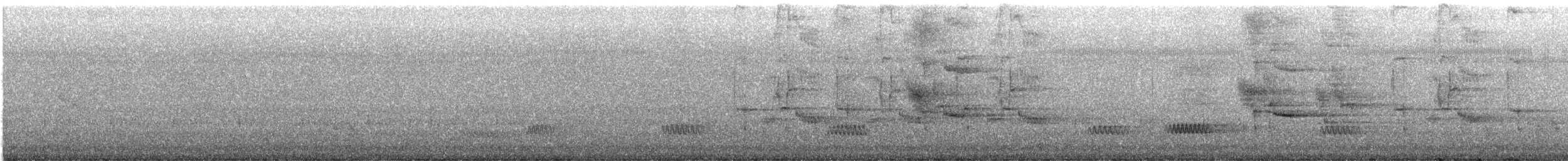 Black-collared Starling - ML646047901