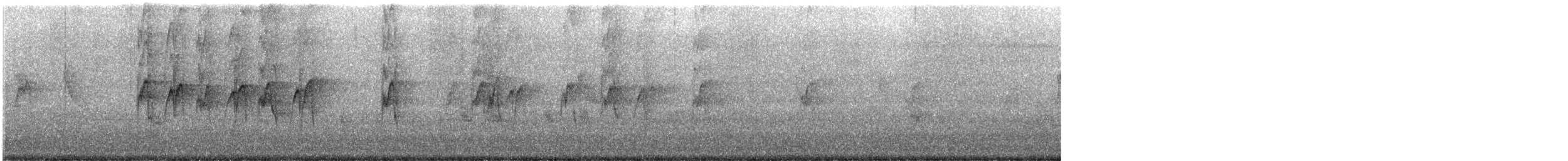 Black Bulbul - ML646047904