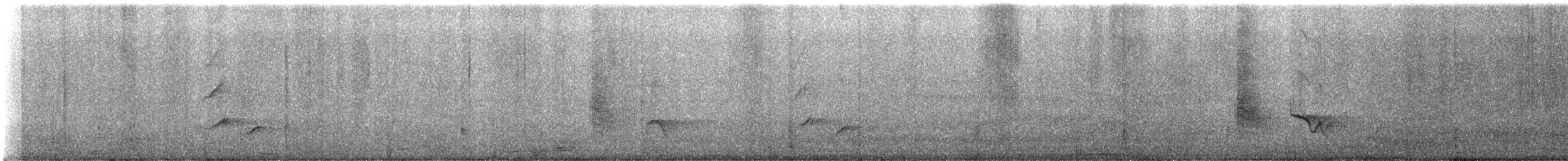 Black Drongo - ML646048237