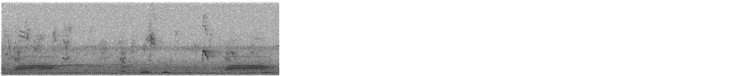 Cuervo Pío - ML646048491