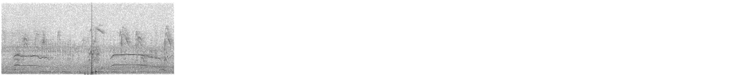 Busardo (Buteo) sp. - ML646048492