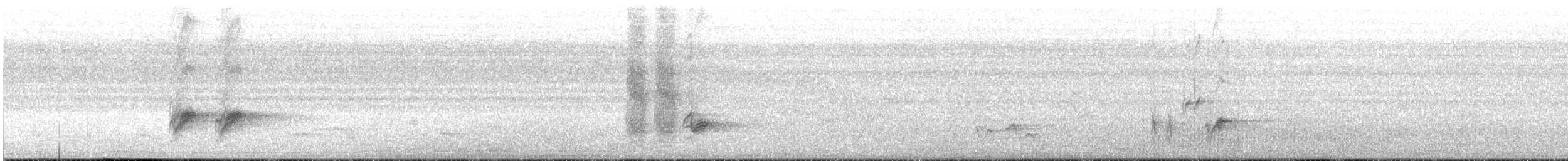 Estornino Ventrinegro - ML646048814