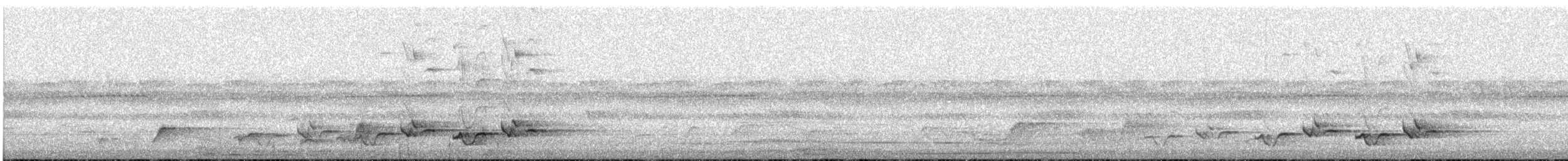 Cosifa de Heuglin - ML646048831