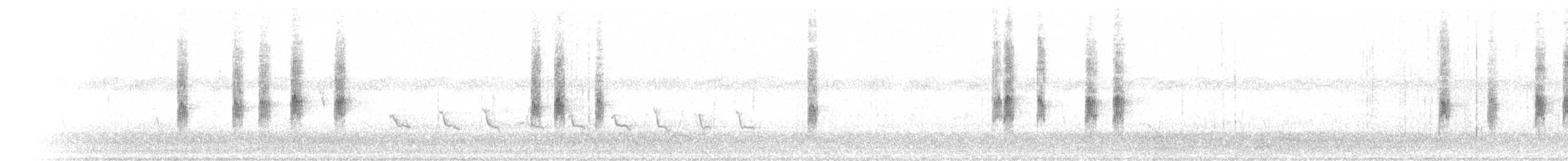 stumpnebb - ML646049414