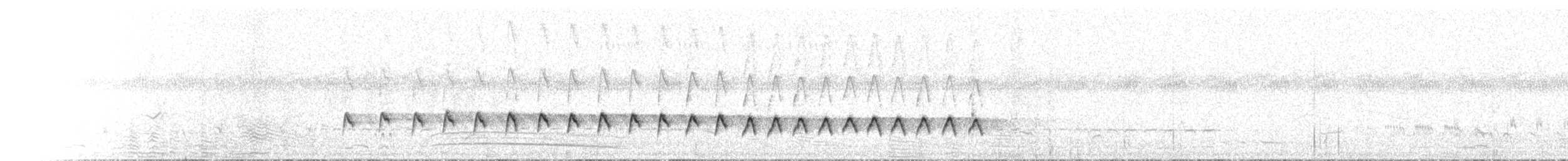 svingeflueskvett - ML646049420