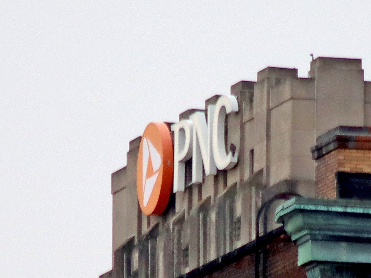 Wanderfalke - ML646050522