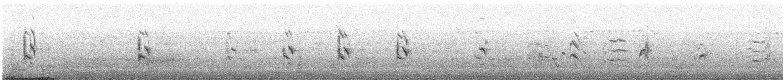 Rose-ringed Parakeet - ML646051637